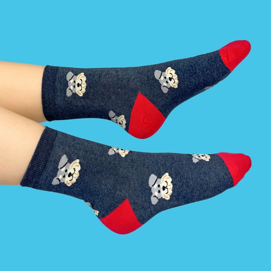 Skarpetki SZNAUCER - bawełniane skarpetki  damskie z psem Sznaucer CandySox