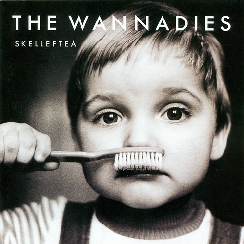 Skellefteå The Wannadies