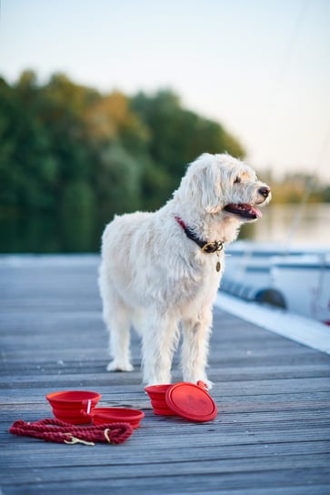Składane silikonowe miski podróżne dla psa List Hunter - Czerwone HUNTER