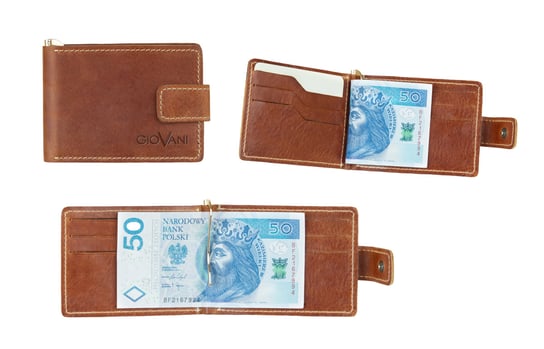 Skórzany mały portfel męski Patrick, banknotówka z klipsem, skóra juchtowa Stefania