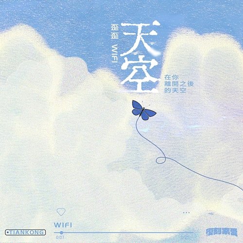 Sky WiFi YY