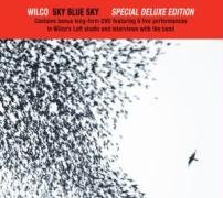 Sky Blue Skye Wilco