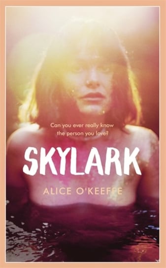 Skylark The new novel from the author of on the up Alice O'Keeffe