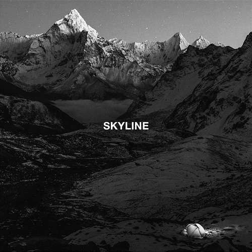 Skyline B3Xray