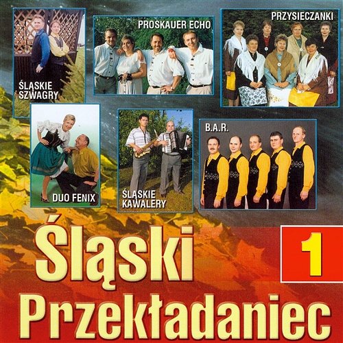 Śląski Przekładaniec 1 Various Artists