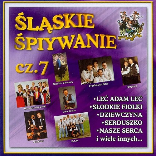 Śląskie Śpiywanie cz. 7 Various Artists