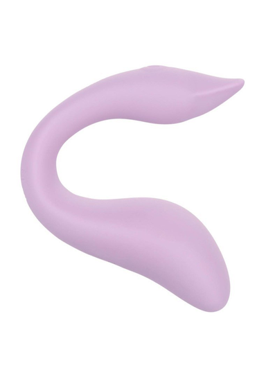 Slay Flexme Purple Calexotics Calexotics