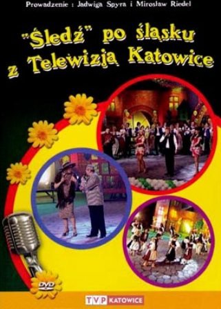 Śledź Po Śląsku z Telewizją Katowice Various Artists