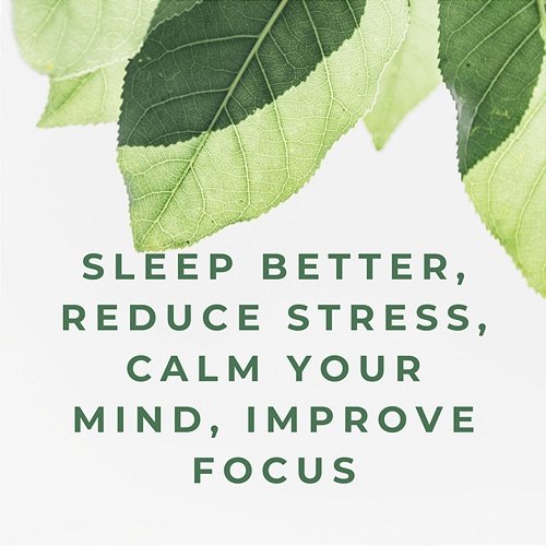 Sleep Better, Reduce Stress, Calm Your Mind, Improve Focus Zen Vibes