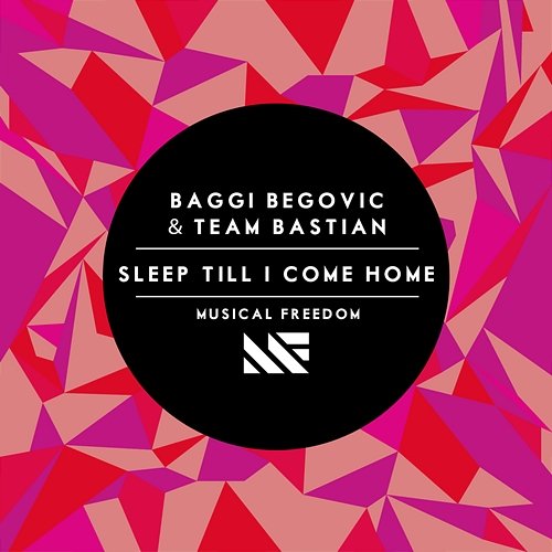 Sleep Till I Come Home BAGGI & Team Bastian