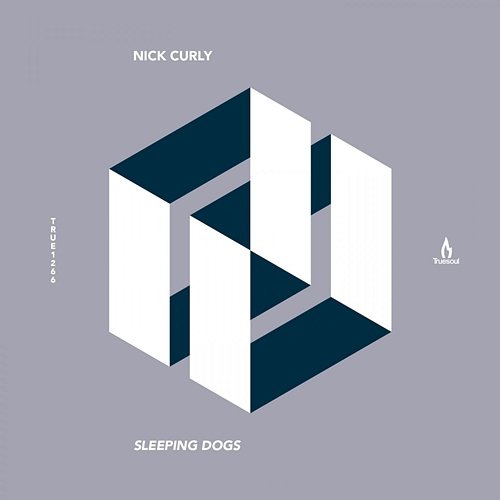 Sleeping Dogs Nick Curly