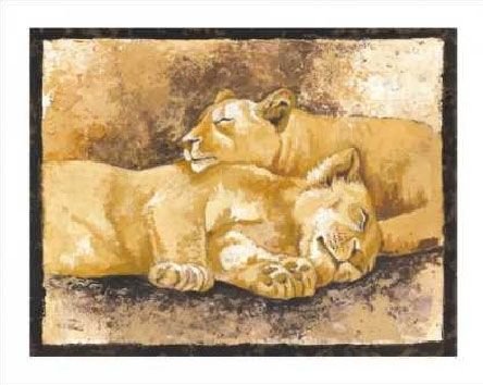 Sleeping Lions - reprodukcja 50x40 cm Wizard
