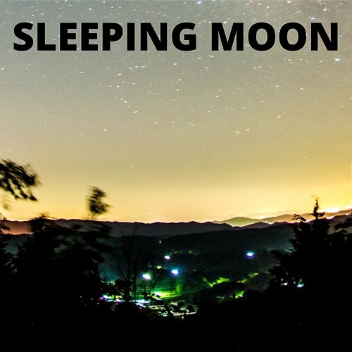 Sleeping Moon Benjamin Ford