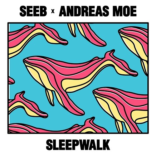 Sleepwalk Seeb, Andreas Moe