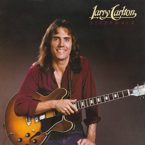 Sleepwalk Larry Carlton