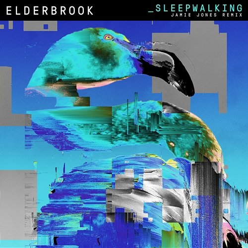 Sleepwalking Elderbrook