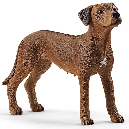 SLH13895 Schleich Farm World - Pies rasa Rhodesian Ridgeback, figurka dla dzieci 3+ Schleich