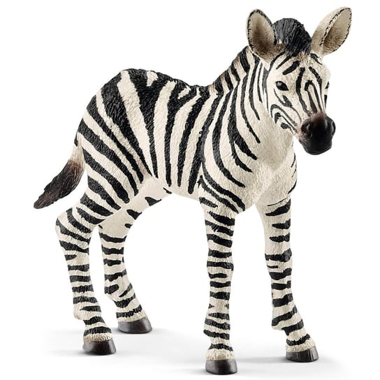 SLH14811 Schleich Wild Life - Młoda zebra, figurka dla dzieci 3+ Schleich