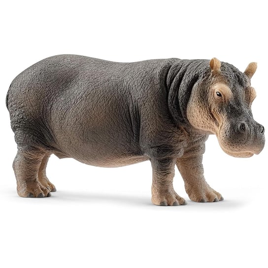SLH14814 Schleich Wild Life - Hipopotam, figurka dla dzieci 3+ Schleich