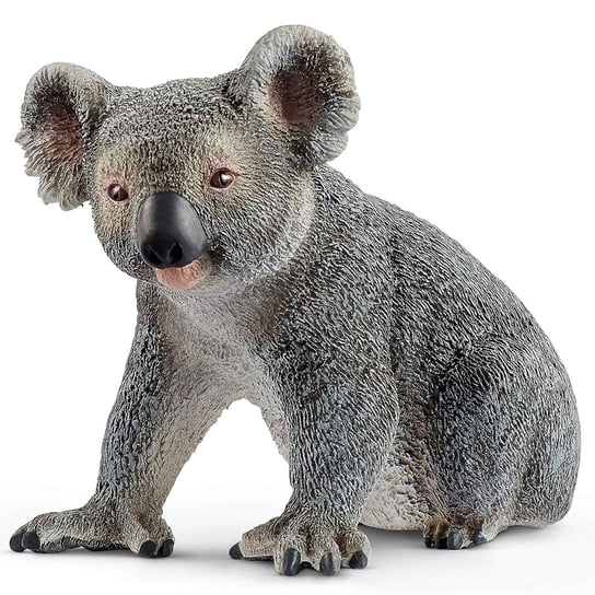 SLH14815 Schleich Wild Life - Miś koala, figurka dla dzieci 3+ Schleich