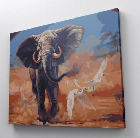 Słoń w biegu - Malowanie po numerach 50x40 cm ArtOnly