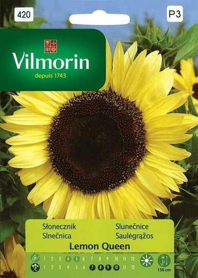 Słonecznik kwiatowy Lemon Queen 0,5 g Vilmorin Inna marka