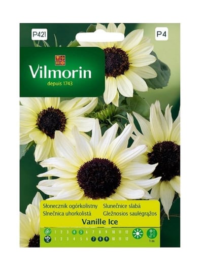 Słonecznik ogórkolistny Vanille Ice 0,5 g Vilmorin Inna marka