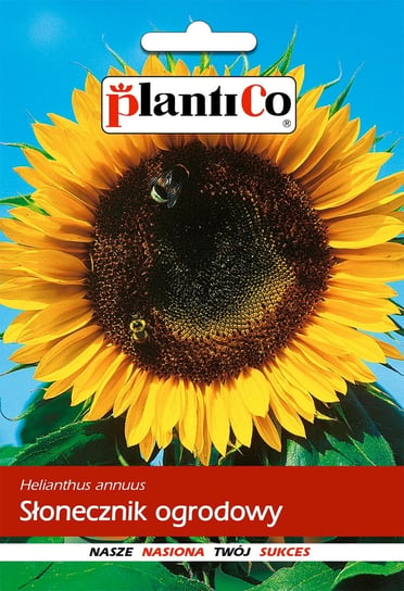 Słonecznik Ogrodowy Jadalny 10g PlantiCo PlantiCo
