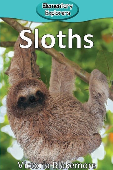Sloths Blakemore Victoria