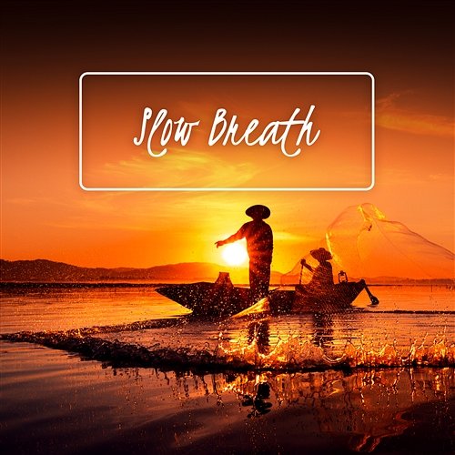 Slow Breath: 60 Soothing Music, Breathing Meditation, Relaxation, Stress Relief, Visualization Music to Relax in Free Time, Stress Relief Calm Oasis