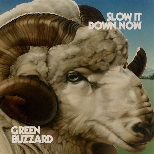 Slow It Down Now Green Buzzard
