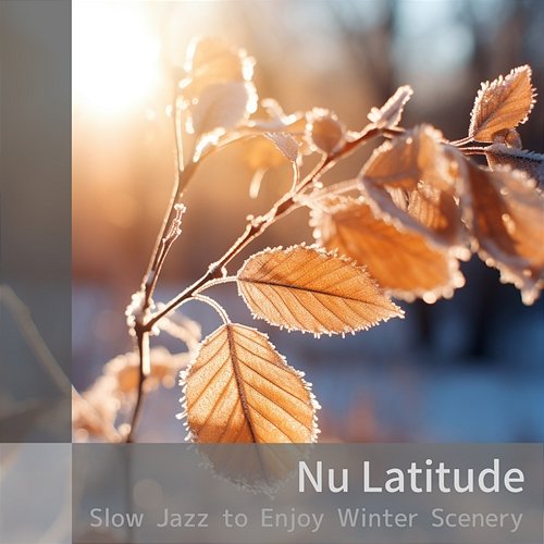 Slow Jazz to Enjoy Winter Scenery Nu Latitude