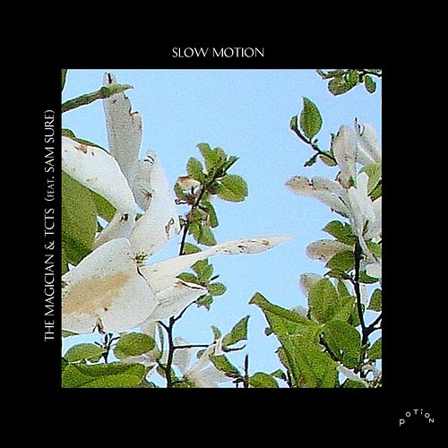 Slow Motion The Magician & TCTS feat. Sam Sure