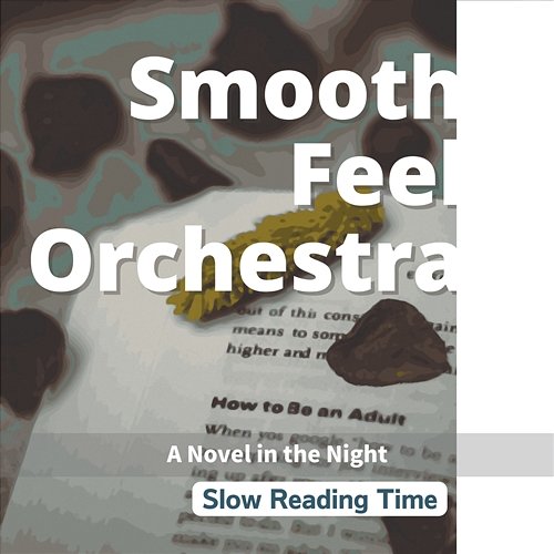 Slow Reading Time - a Novel in the Night Smooth Feel Orchestra