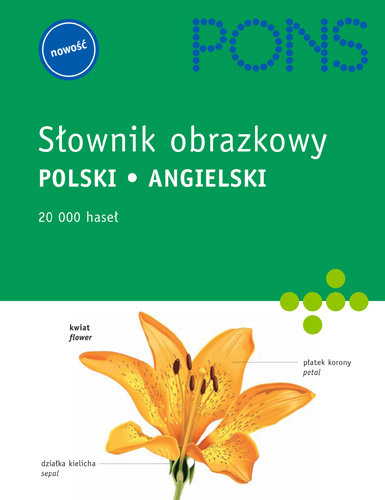 Słownik obrazkowy, polski - angielski Opracowanie zbiorowe