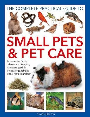 Small Pets and Pet Care, The Complete Practical Guide to: An essential family reference to keeping hamsters, gerbils, guinea pigs, rabbits, birds, reptiles and fish Anness Publishing