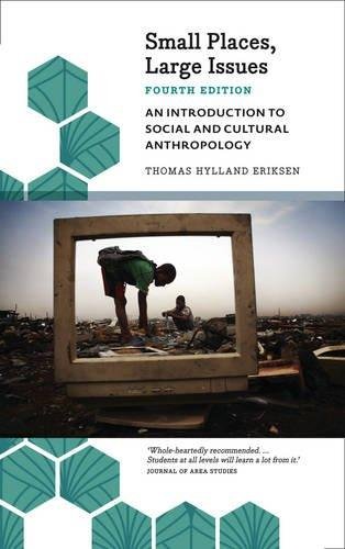 Small Places, Large Issues - Fourth Edition Eriksen Thomas Hylland