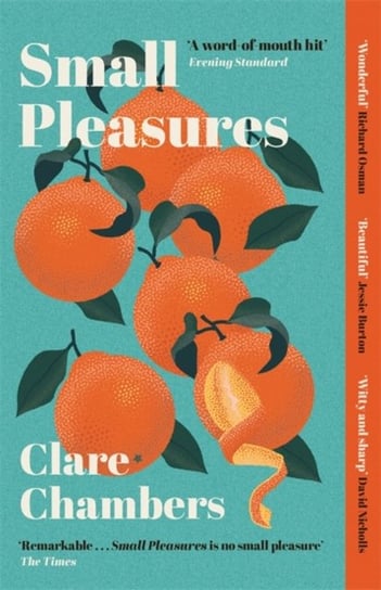 Small Pleasures: Longlisted for the Womens Prize for Fiction 2021 Chambers Clare