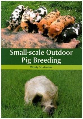 Small-scale Outdoor Pig Breeding Scudamore Wendy