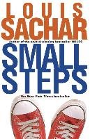 Small Steps Sachar Louis