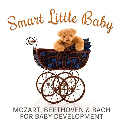 Smart Little Baby: Classical Music for Brilliant Mind, Einstein Bright Effect, Mozart, Beethoven & Bach for Baby Development Brain Food Music Club