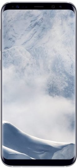 Smartfon Samsung Galaxy S8+, 4/64 GB, srebrny Samsung