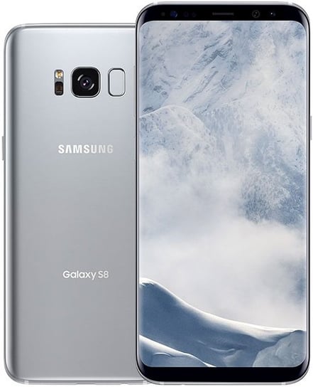Smartfon Samsung Galaxy S8+, 4/64 GB, szary Samsung