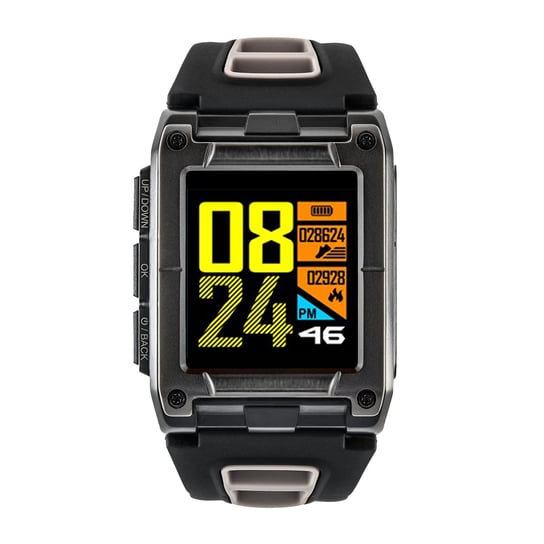 Smartwatch Watchmark - Extremum Triathlon WS929 GPS, Szary Watchmark