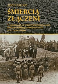Śmiercią złączeni. O cmentarzach z I wojny światowej na terenach Królestwa Polskiego administrowanych przez Austro-Węgr Pałosz Jerzy
