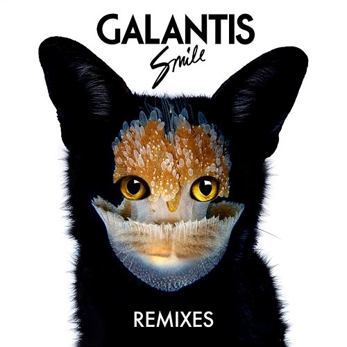 Smile Remixes Galantis