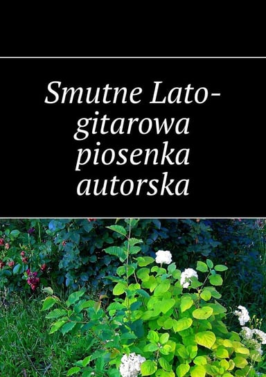 Smutne Lato - gitarowa piosenka autorska Smutne Lato