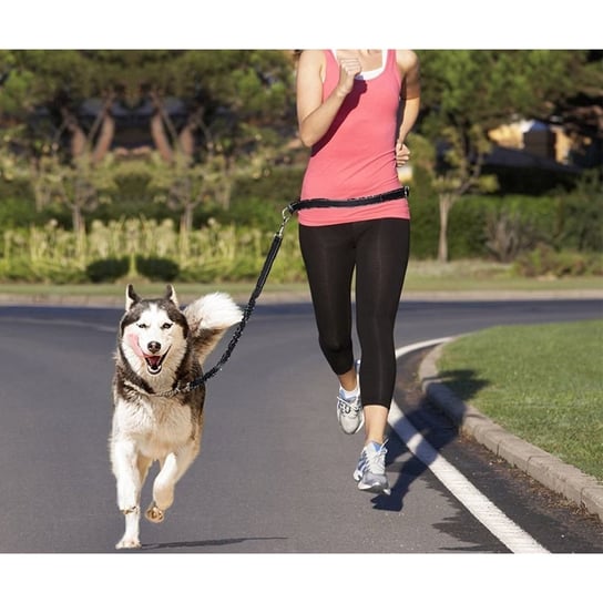 Smycz do biegania z psem + pas biodrowy Hedo