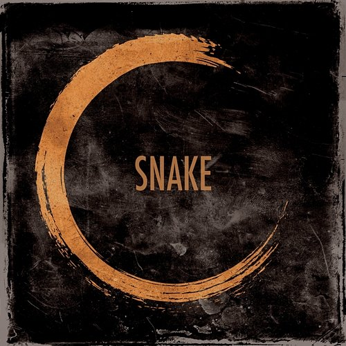 Snake Circle Of Mud