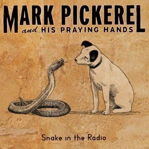 Snake In The Radio Various Artists